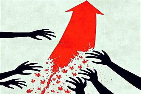 逸飞激光募集资金流向存疑,上市后经营现金流持续负数,或可索赔_公司_娄霄云_收入