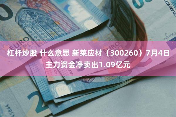 杠杆炒股 什么意思 新莱应材（300260）7月4日主力资金净卖出1.09亿元