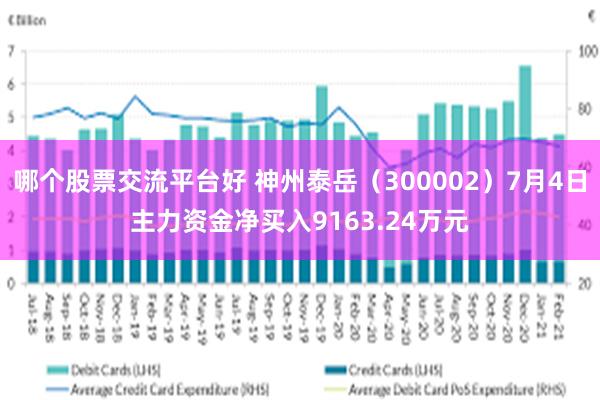哪个股票交流平台好 神州泰岳（300002）7月4日主力资金净买入9163.24万元