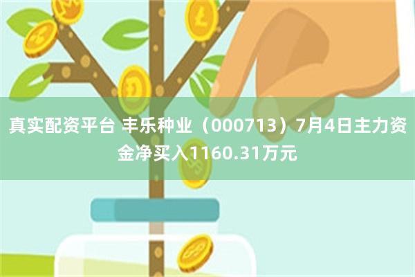 真实配资平台 丰乐种业（000713）7月4日主力资金净买入1160.31万元