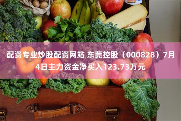 配资专业炒股配资网站 东莞控股（000828）7月4日主力资金净买入123.73万元