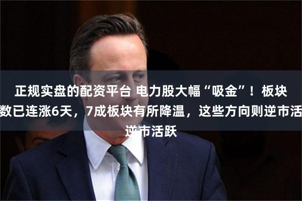 正规实盘的配资平台 电力股大幅“吸金”!板块指数已连涨6天,7成板块有所降温,这些方向则逆市活跃