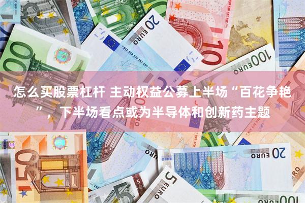 怎么买股票杠杆 主动权益公募上半场“百花争艳”，下半场看点或为半导体和创新药主题