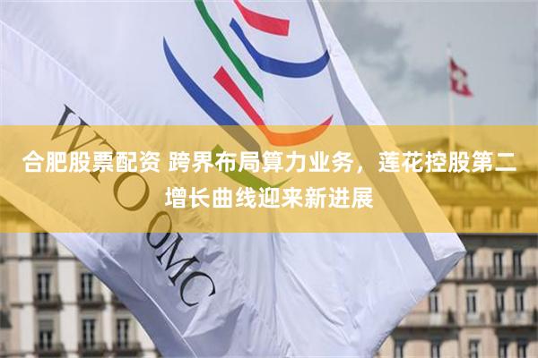 合肥股票配资 跨界布局算力业务，莲花控股第二增长曲线迎来新进展