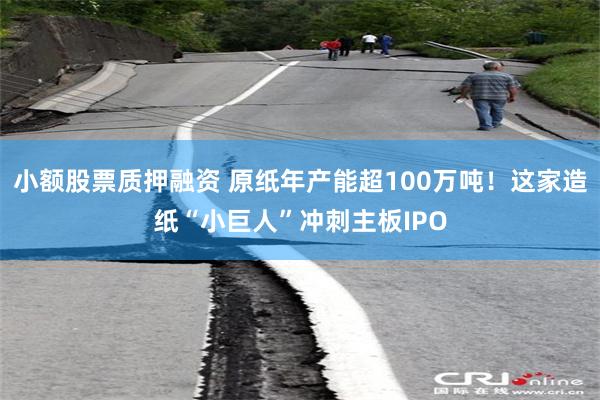 小额股票质押融资 原纸年产能超100万吨！这家造纸“小巨人”冲刺主板IPO