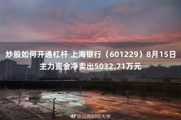 炒股如何开通杠杆 上海银行（601229）8月15日主力资金净卖出5032.71万元