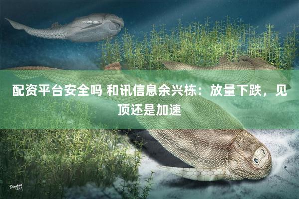配资平台安全吗 和讯信息余兴栋：放量下跌，见顶还是加速