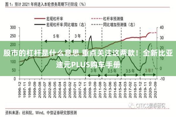 股市的杠杆是什么意思 重点关注这两款！全新比亚迪元PLUS购车手册