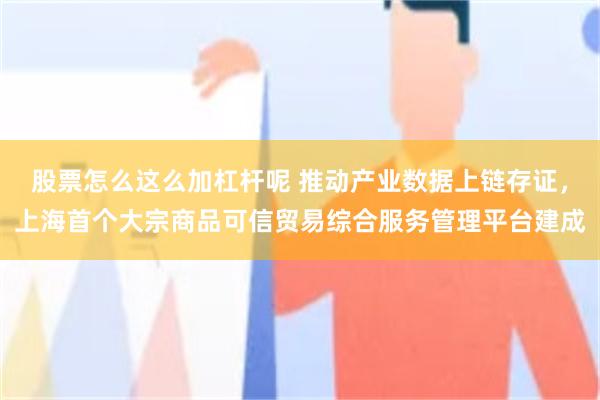 股票怎么这么加杠杆呢 推动产业数据上链存证,上海首个大宗商品可信贸易综合服务管理平台建成