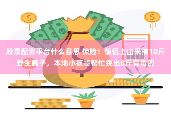 股票配资平台什么意思 惊险!情侣上山采摘10斤野生菌子,本地小孩哥帮忙挑出8斤有毒的