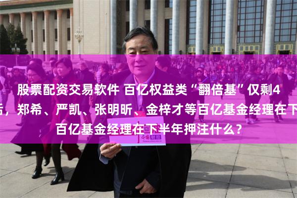 股票配资交易软件 百亿权益类“翻倍基”仅剩4只,大回撤过后,郑希、严凯、张明昕、金梓才等百亿基金经理在下半年押注什么?