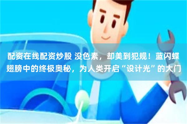 配资在线配资炒股 没色素，却美到犯规！蓝闪蝶翅膀中的终极奥秘，为人类开启“设计光”的大门