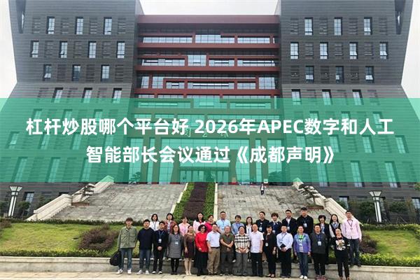 杠杆炒股哪个平台好 2026年APEC数字和人工智能部长会议通过《成都声明》