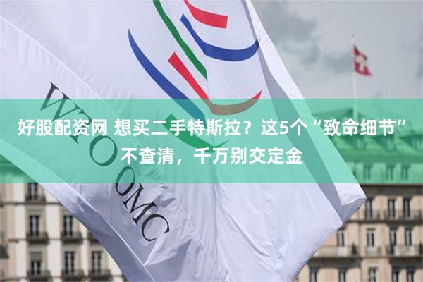 好股配资网 想买二手特斯拉？这5个“致命细节”不查清，千万别交定金