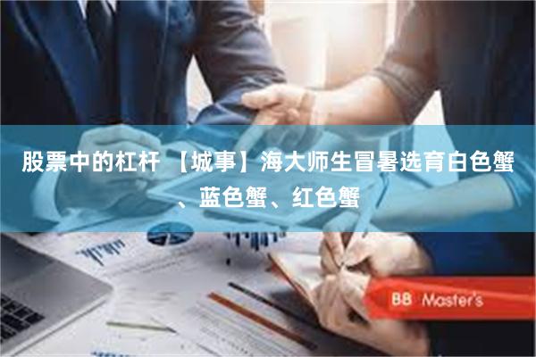 股票中的杠杆 【城事】海大师生冒暑选育白色蟹、蓝色蟹、红色蟹