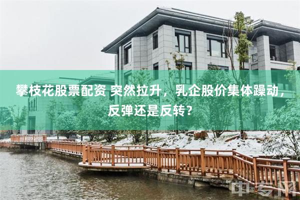 攀枝花股票配资 突然拉升，乳企股价集体躁动，反弹还是反转？