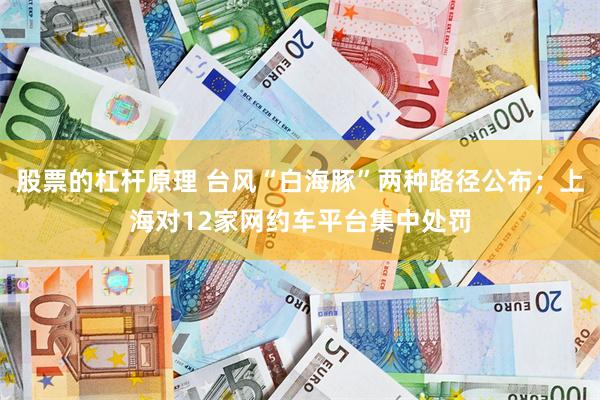 股票的杠杆原理 台风“白海豚”两种路径公布；上海对12家网约车平台集中处罚