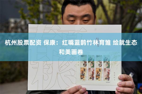 杭州股票配资 保康：红嘴蓝鹊竹林育雏 绘就生态和美画卷
