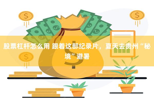 股票杠杆怎么用 跟着这部纪录片，夏天去贵州“秘境”避暑