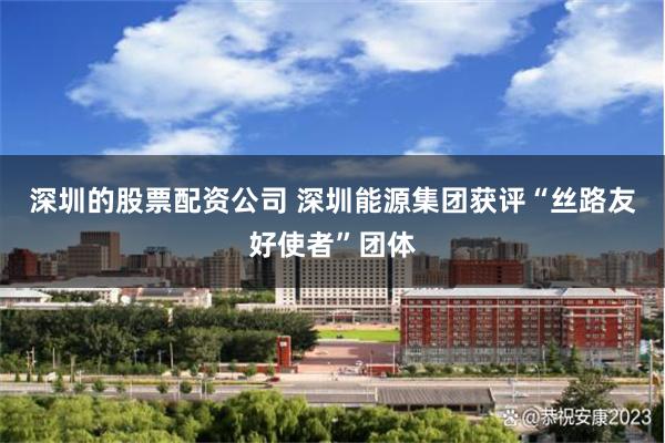 深圳的股票配资公司 深圳能源集团获评“丝路友好使者”团体