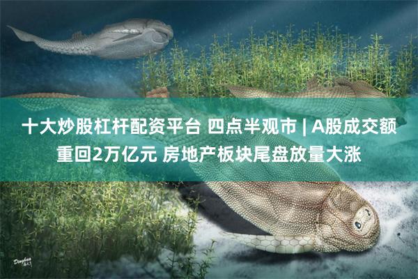 十大炒股杠杆配资平台 四点半观市 | A股成交额重回2万亿元 房地产板块尾盘放量大涨