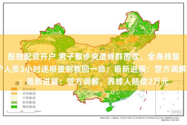股指配资开户 男子散步突遭蜂群围攻，全身残留近千根毒刺，经医护人员3小时逐根拔刺救回一命；最新进展：警方调解，养蜂人赔偿2万元