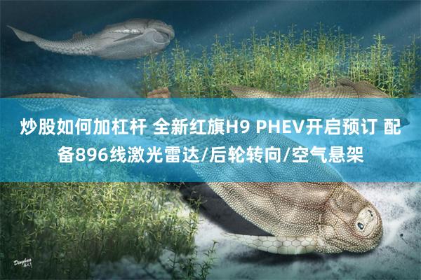 炒股如何加杠杆 全新红旗H9 PHEV开启预订 配备896线激光雷达/后轮转向/空气悬架