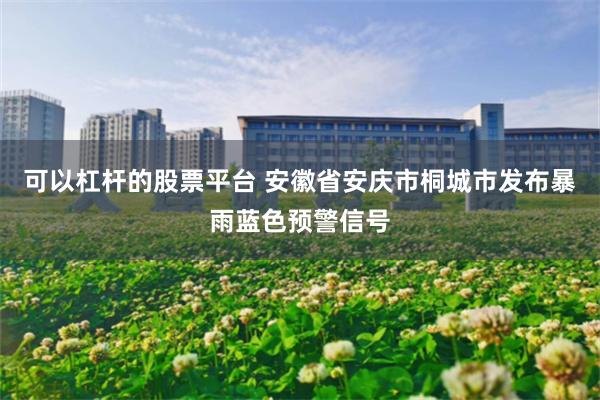可以杠杆的股票平台 安徽省安庆市桐城市发布暴雨蓝色预警信号