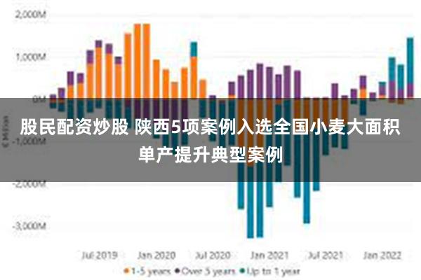 股民配资炒股 陕西5项案例入选全国小麦大面积单产提升典型案例