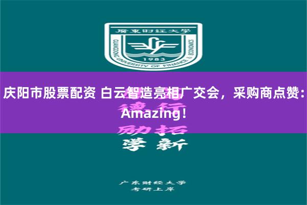 庆阳市股票配资 白云智造亮相广交会，采购商点赞：Amazing！